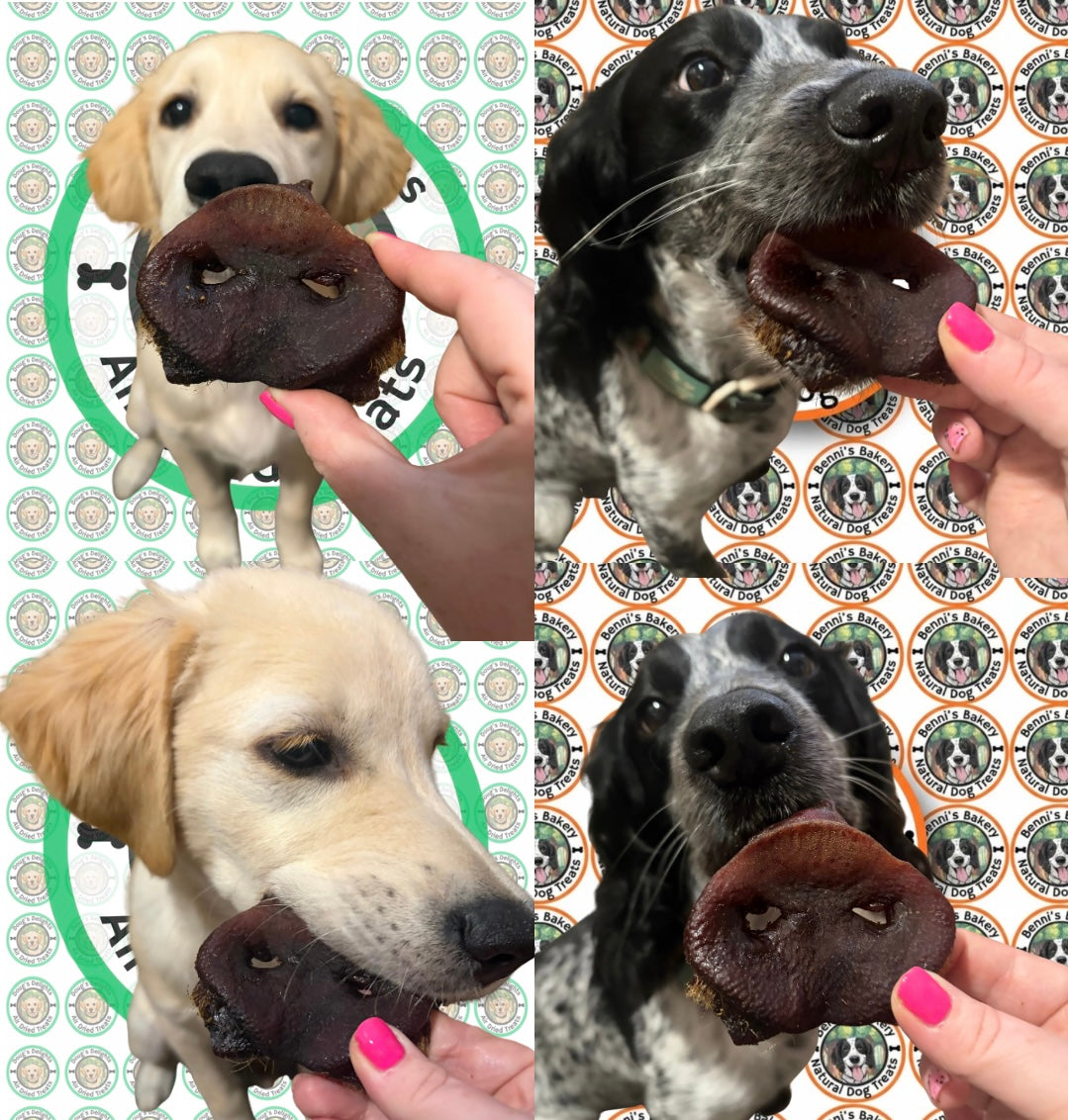 Dried Pig Snouts