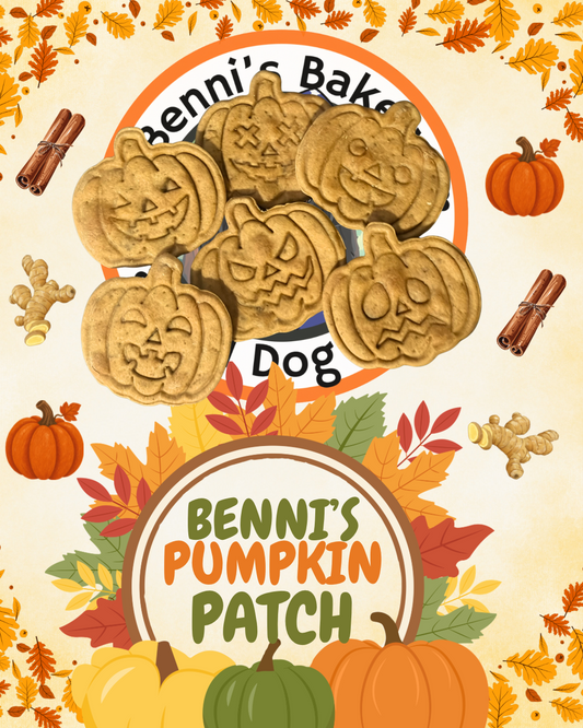 Benni’s Pumpkin Patch