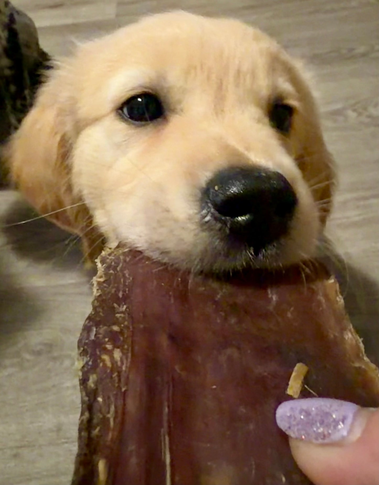 Buffalo Jerky