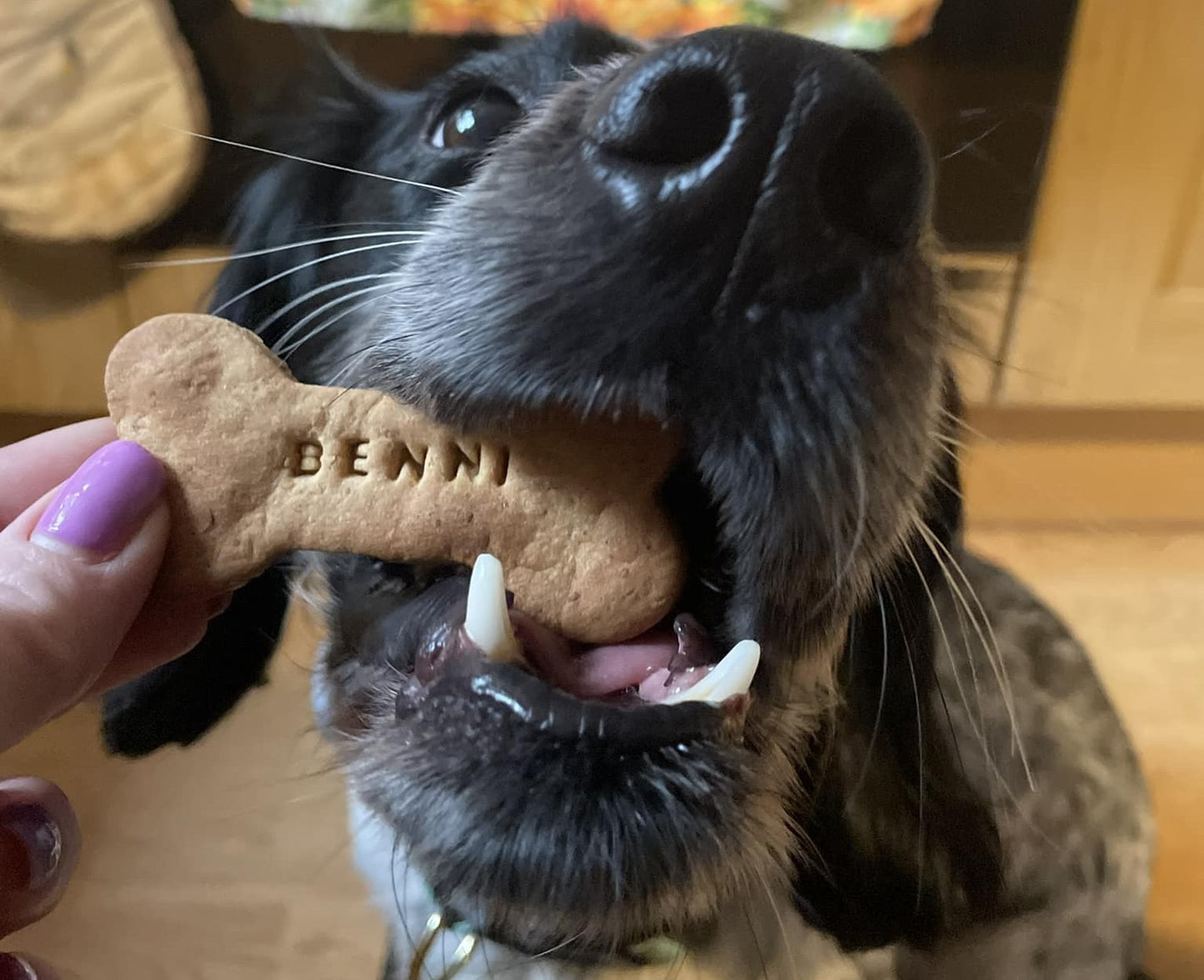 Personalised Large Bones