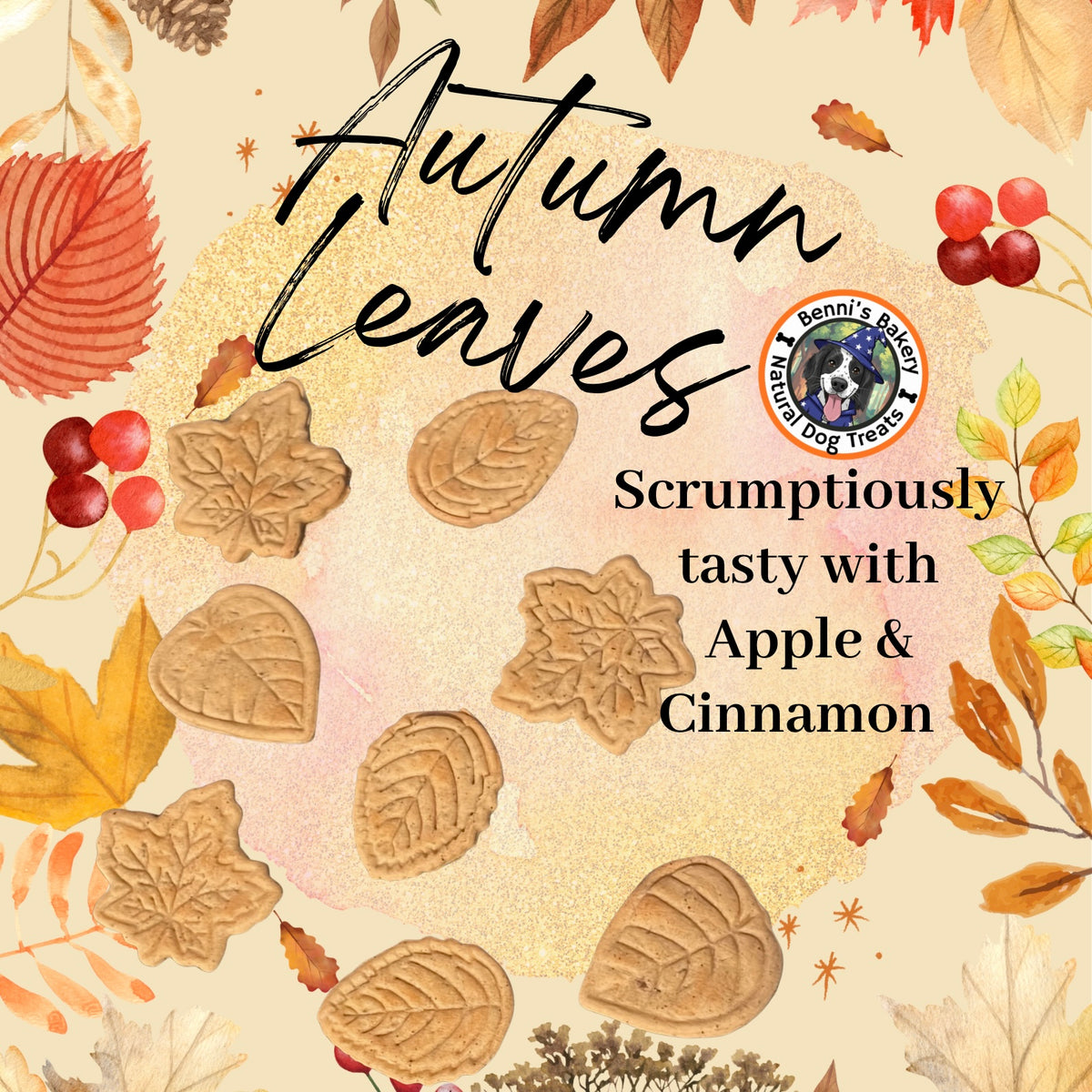 Autumn Leaves 🍁🍂