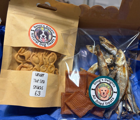 Under The Sea Bundle