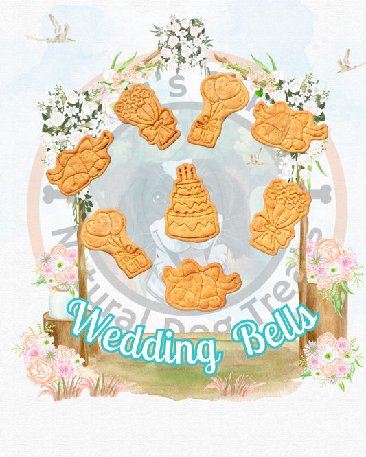 Wedding Bells 💍🔔