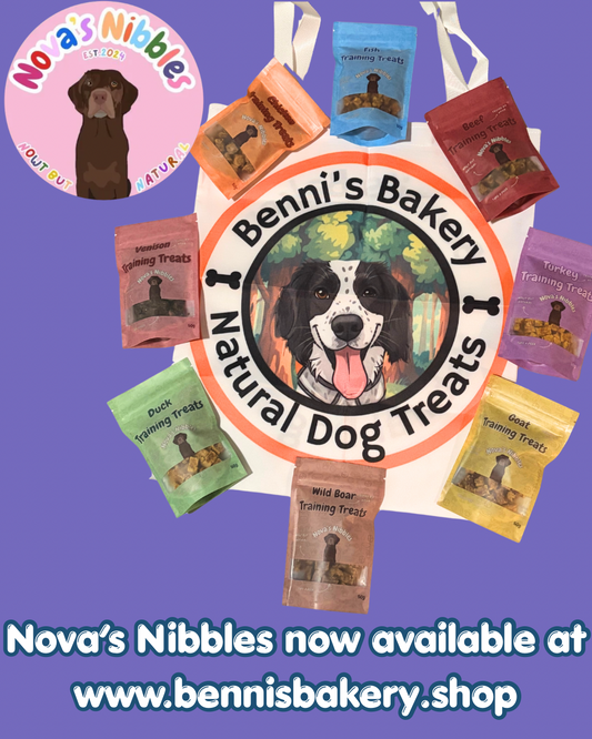 Nova’s Nibbles